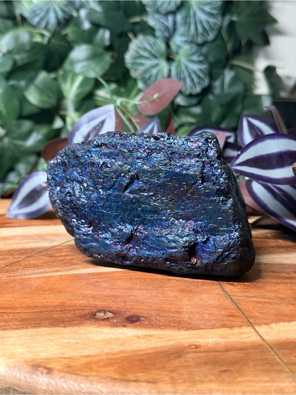 Peacock Coal